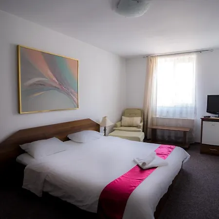 Otel Pensiunea Dacia Deva