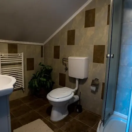 Pensiunea Dacia Otel Deva