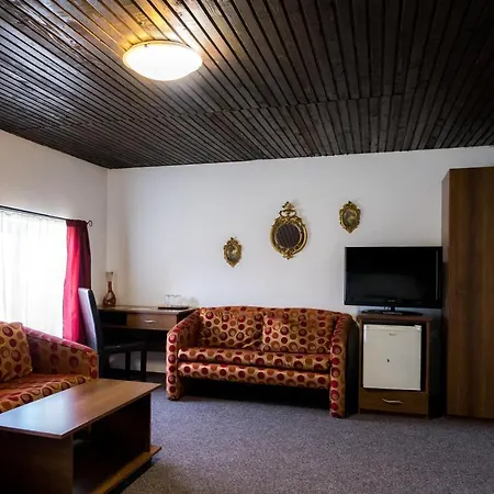Pensiunea Dacia Otel Deva