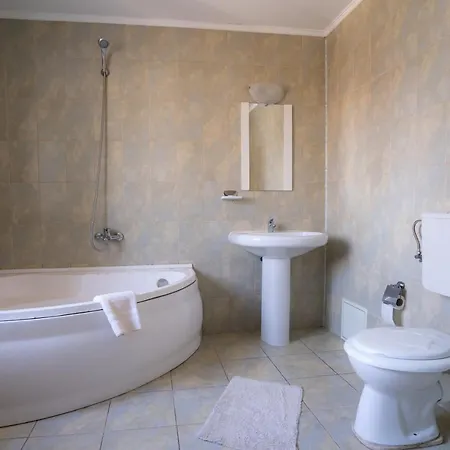Otel Pensiunea Dacia 3*