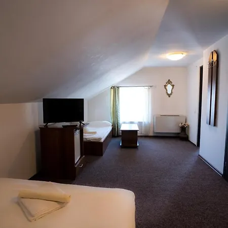 Pensiunea Dacia Otel